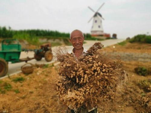 金山银山吃瓜视频