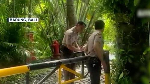 巴厘岛情侣吃瓜视频