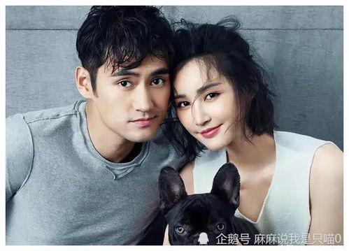 吃瓜视频爆料明星,吃瓜视频爆料明星幕后故事