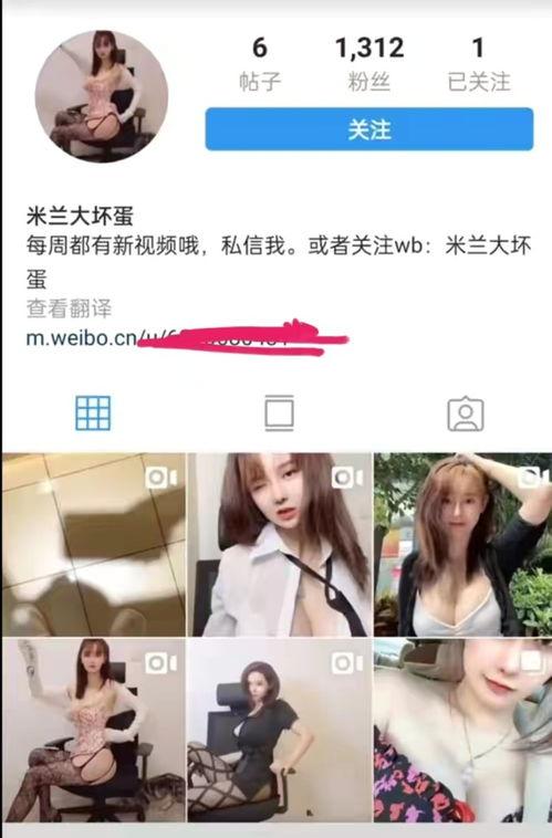 涞水直播吃瓜事件视频