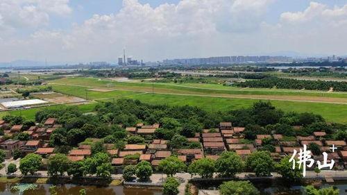 三水乐平吃瓜教学视频,跟着教学视频学吃瓜