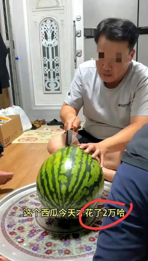 吃瓜最好笑的视频