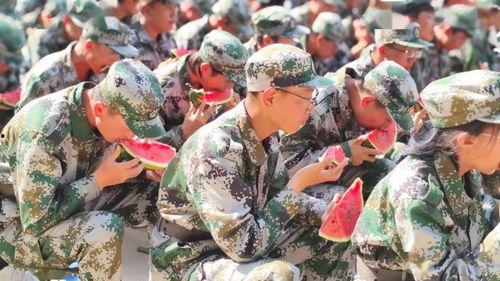 军训的视频吃瓜,吃瓜群众围观“萌新”成长记