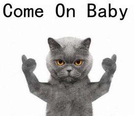 抖音小游戏猫猫吃瓜视频,抖音小游戏“猫猫吃瓜”趣味无限