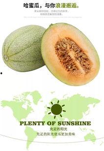 哈密瓜该怎么做吃的视频,创意视频教程集锦