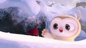 吃瓜比赛热门视频,盘点吃瓜比赛热门视频，谁才是瓜王？